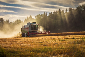 Niemcy: Prognoza przeciętnych zbiorów zbóż