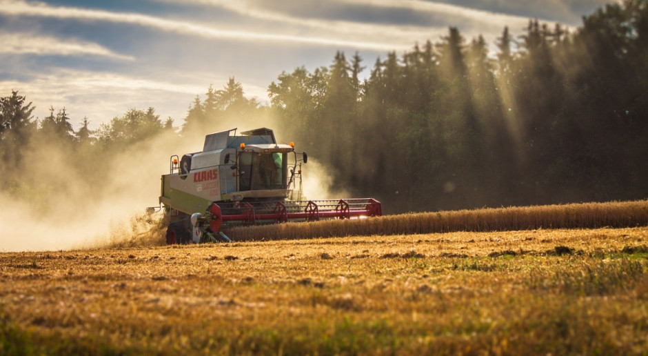 Niemcy: Prognoza przeciętnych zbiorów zbóż