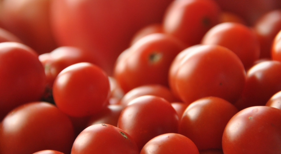 Rosja: "pomidorowe" embargo z Turcją szkodzi bardziej Moskwie