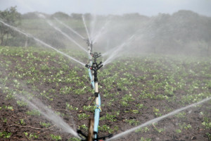ARiMR: rolnicy mogą już się ubiegać o dotacje do nawadniania gospodarstw