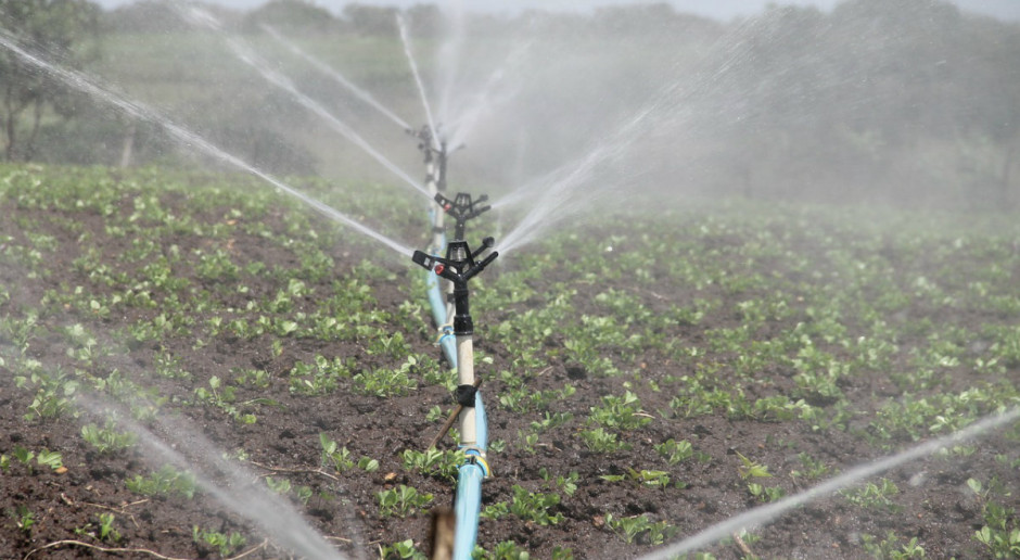 ARiMR: rolnicy mogą już się ubiegać o dotacje do nawadniania gospodarstw