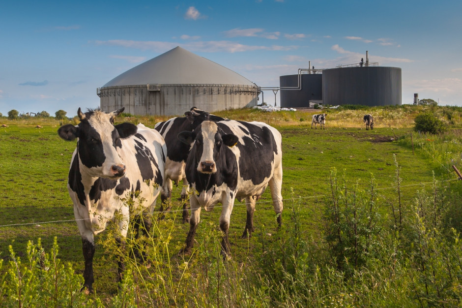 Od 20 lipca br. rolnicy mogą się ubiegać o dotację na biogazownie lub małe elektrownie wodne o mocy do 500 kW w ramach AgroEnergia. Foto. Shutterstock