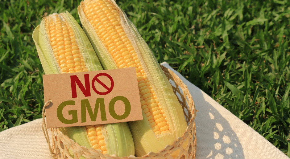 Fot. Shutterstock Kukiz krytycznie o rządowym projekcie ws. GMO