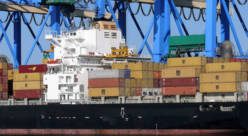 Fot. piabayy.com Ardanowski: w tym roku uruchomimy państwowy port do przeładunku zbóż