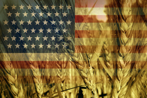 Trump podpisał rozporządzenie wykonawcze dotyczące rolnictwa