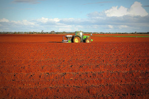 ANR akceptuje niemal wszystkie wnioski o zgodę na kupno ziemi rolnej