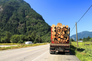 Kanada chce bronić swych interesów, gdy USA wprowadziły cła na import drewna