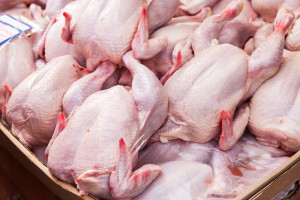 Drobiarze promują kurczaki na targach w Wietnamie