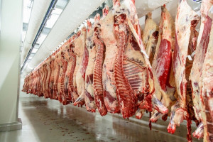 USA: Wzrosła produkcja mięsa
