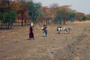 Wobec klęski głodu Sudan Południowy znosi cła na import żywności