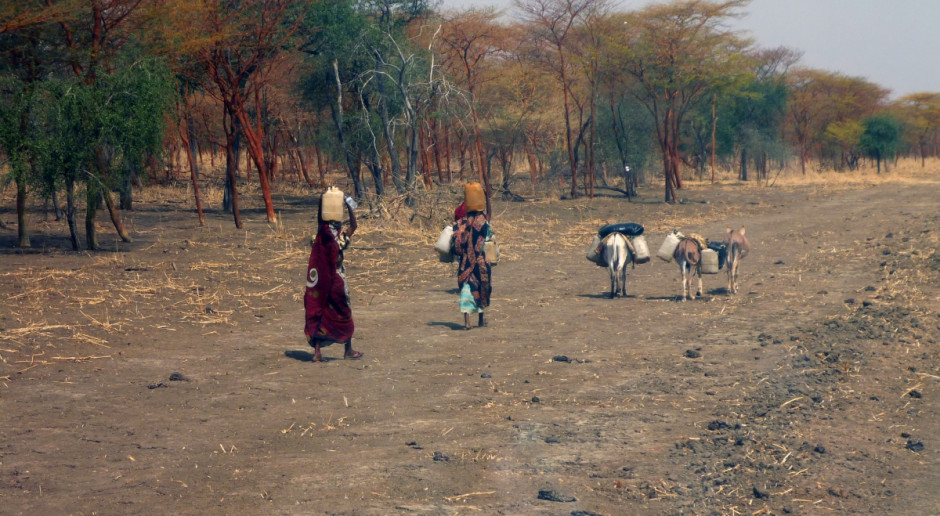 Fot. Shutterstock Wobec klęski głodu Sudan Południowy znosi cła na import żywności