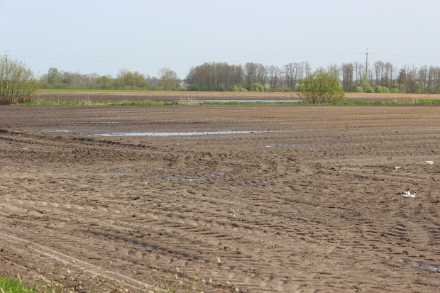 Fot. KH Klimatolodzy: Duże różnice temperatur to sygnał zmian w klimacie