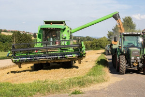 FAO: Marginalny wzrost prognozy światowej produkcji zbóż