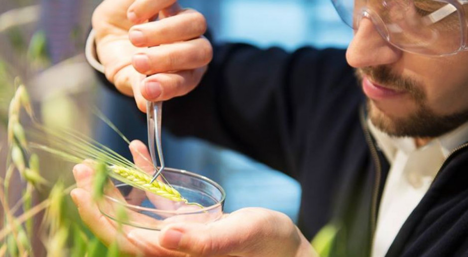 Nexbio to startup, którego celem jest opracowanie innowacyjnych metod wykrywania chorób roślin uprawnych w bardzo wczesnym stadium; Fot. Materiały prasowe Polski startup do wykrywania patogenów zbóż walczy o milion dolarów