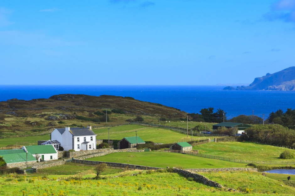 Irlandia chce zwiększyć do 2027 r. udział gruntów uprawianych ekologicznie do 7,7 proc.; Fot Shutterstock