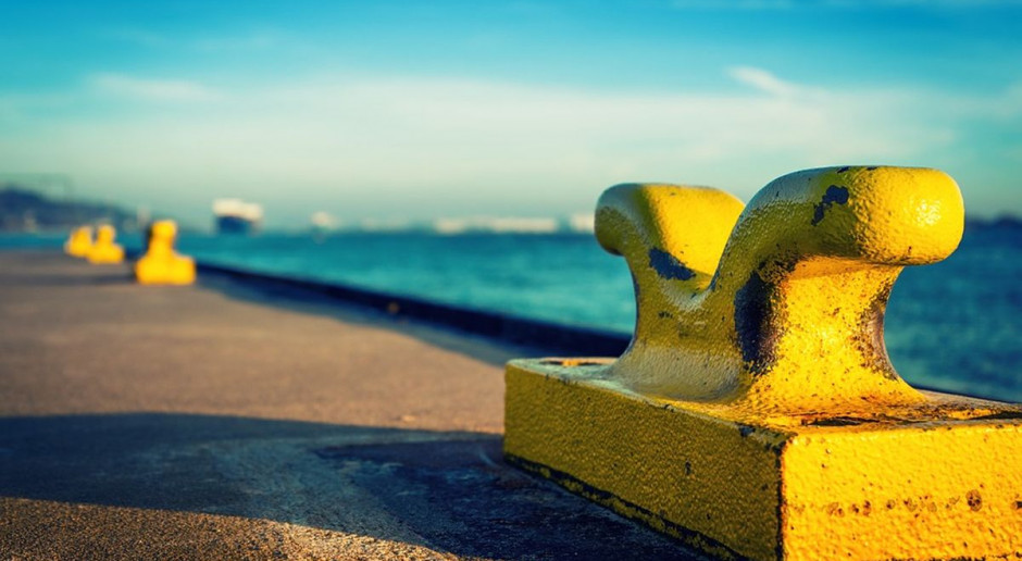 fot. Pixabay Wwóz roślin przez Port Morski Elbląg