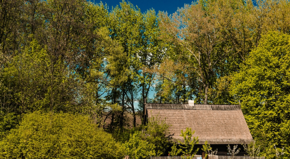 Fot. Tadeusz Ibrom / Shutterstock.com Śląskie: Rusza tegoroczny konkurs na najpiękniejszą wieś regionu