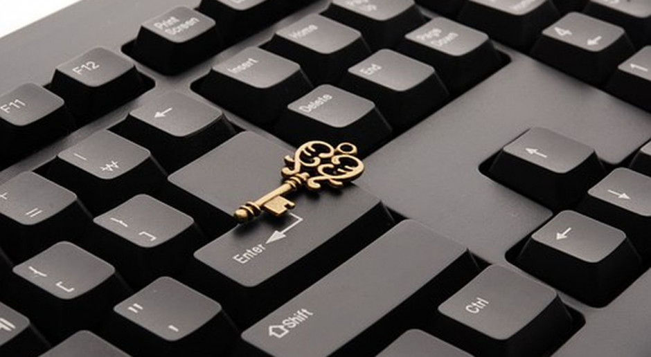 fot. Pixabay Sejm nie wysłucha informacji ministra o systemie informatycznym ARiMR
