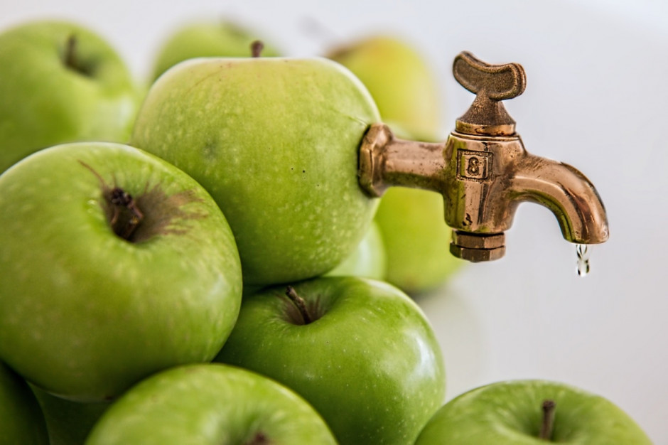 Polska po Chinach jest największym producentem zagęszczonego soku jabłkowego na świecie (Fot.pixabay.com)