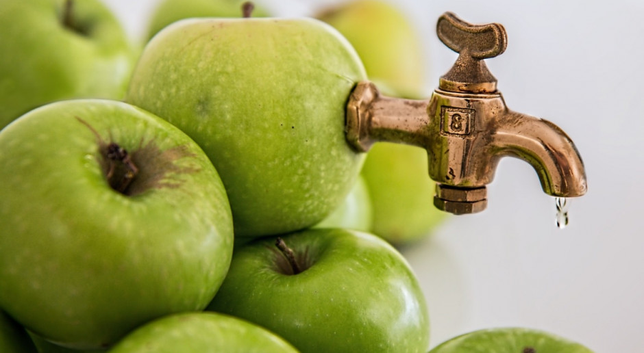 Polska po Chinach jest największym producentem zagęszczonego soku jabłkowego na świecie (Fot.pixabay.com) Pijemy nadal mniej soków niż w Europie Zachodniej