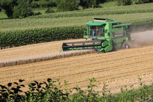 Giełdy krajowe: Mniejsza podaż zbóż