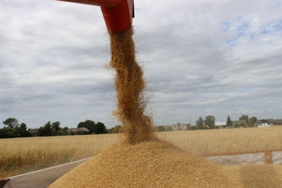 Według rosyjskiego ministerstwa rolnictwa, eksport zbóż w bieżącym sezonie powinien wynieść 34-35 mln ton (Fot.Ł.Ch)