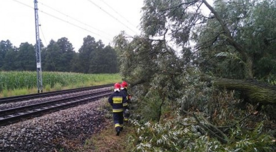 Fot. www.psp.wlkp.pl Rzecznik PSP: 1100 interwencji strażaków po burzach