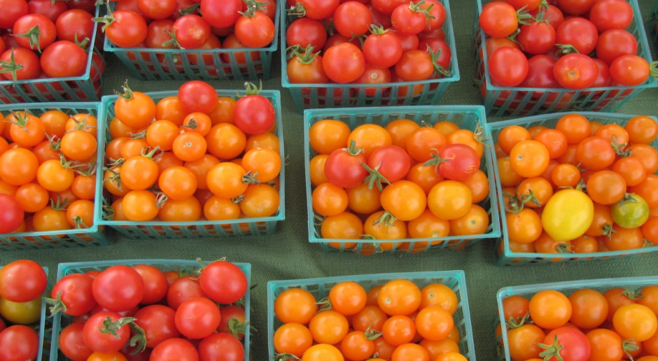 Rosyjskie embargo obowiązywało na import pomidorów z Turcji (Fot.pixabay.com) Rosja odwołuje ograniczenia w handlu rolno-spożywczym z Turcją