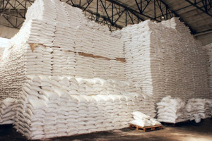 Ukraina: Prognoza produkcji cukru skorygowana w dół