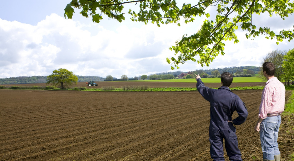 Fot. Shutterstock PO żąda od ministra rolnictwa, aby zajął się sprawami rolników