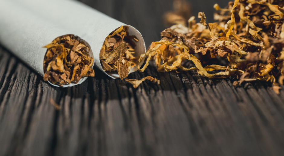Branża tytoniowa dostarcza do budżetu ok. 22 mld zł rocznie, a straty z tytułu szarej strefy to ok. 7 mld zł rocznie; Fot. Shutterstock Wiceszef KAS: Problemem branży tytoniowej jest nielegalna produkcja w kraju