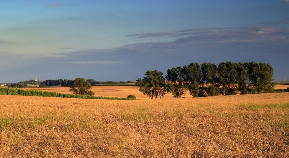 fot. Pixabay Roczne podsumowanie zmian w zasadach sprzedaży ziemi