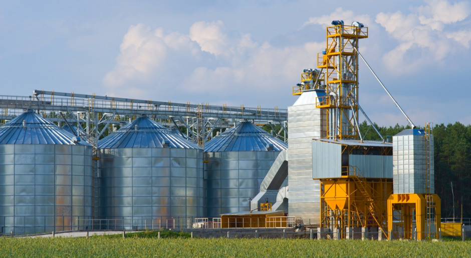 Fot. Shutterstock IERiGŻ: Ceny zbóż mogą rosnąć umiarkowanie do przełomu I i II kw. '18