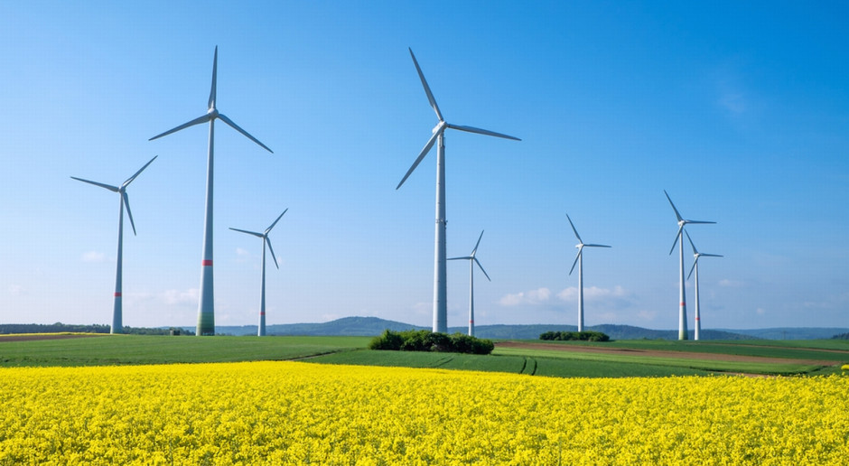 Fot. Shutterstock Raport: Energia odnawialna zdominuje rynek w ciągu dwóch dekad