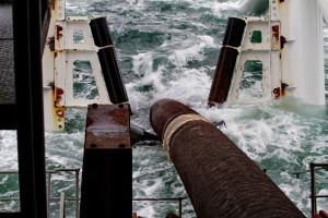 Nord Stream: Mniejsza ilość ryb w Bałtyku nie ma związku z powstaniem gazociągu