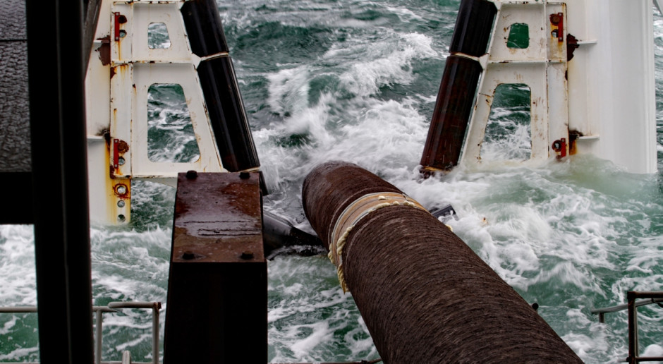 Fot. Shutterstock Nord Stream: Mniejsza ilość ryb w Bałtyku nie ma związku z powstaniem gazociągu
