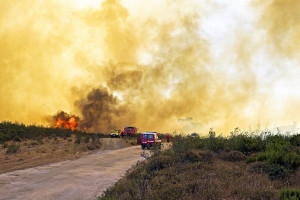 Portugalia: Już 43 ofiary śmiertelne pożarów lasów