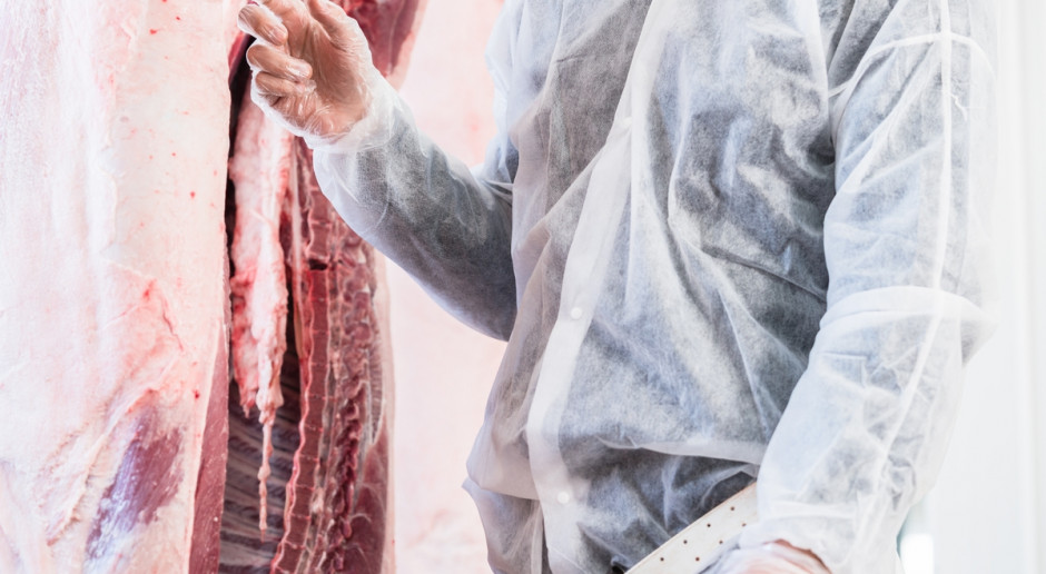 Fot. Shutterstock Rząd we wtorek zajmie się przepisami o uboju zwierząt