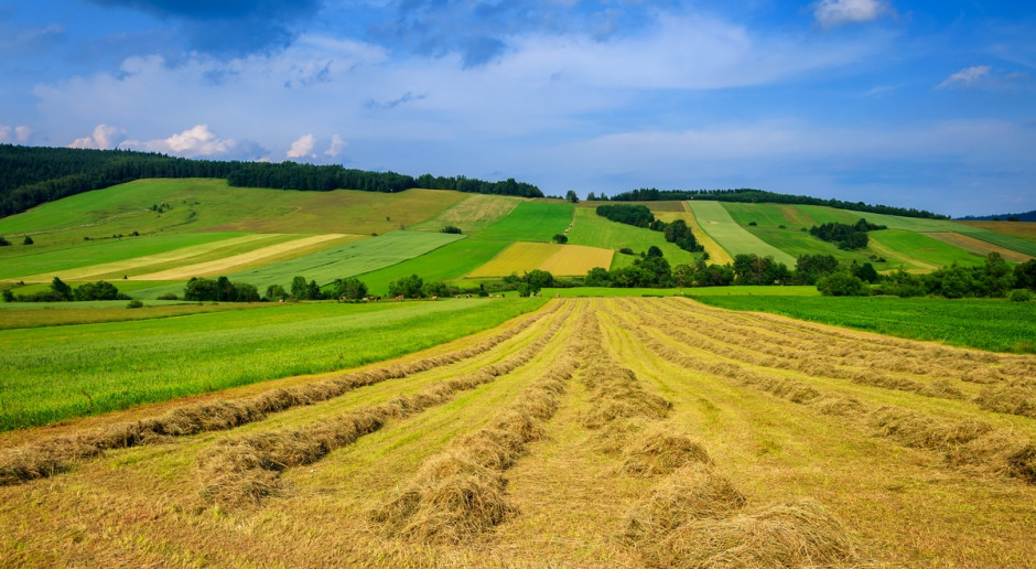 Fot. Shutterstock Polska nie miała polityki agrarnej