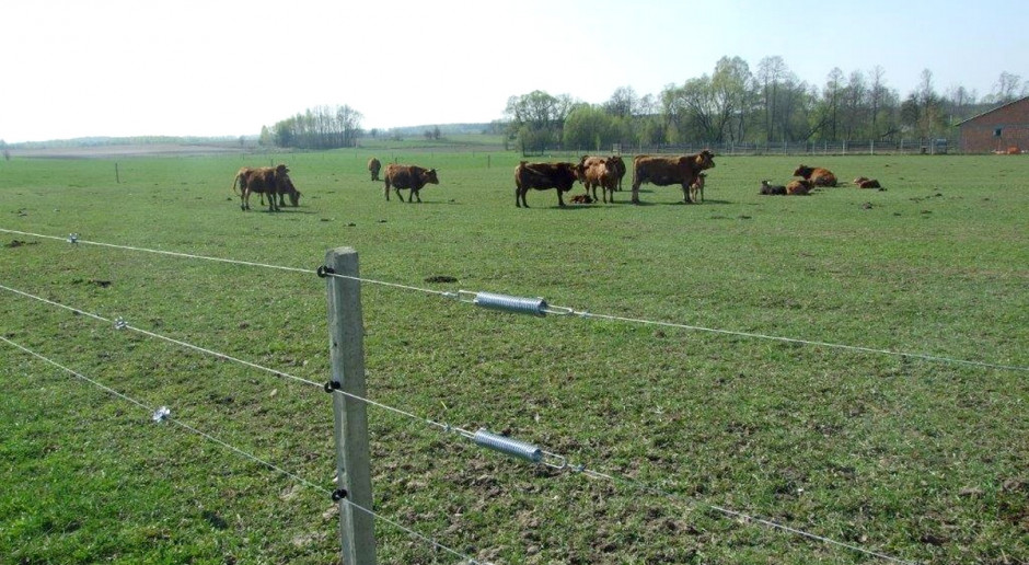 Dobrze wykonane ogrodzenie dla bydła może służyć wiele lat; Fot. Pomelac Ogrodzenie elektryczne na zamówienie