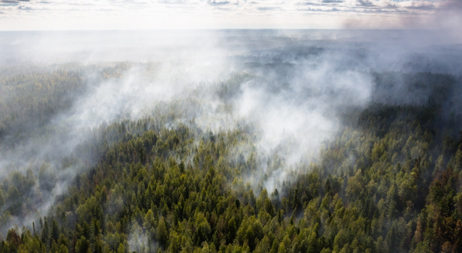 Płoną tysiące hektarów lasów na Syberii