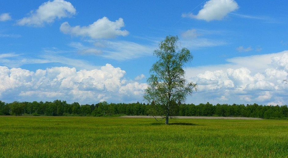 Fot. Pixabay Ostrożnie z zaorywaniem TUZ