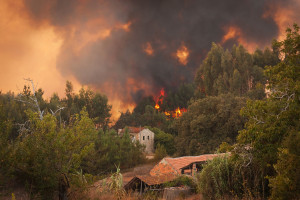 Portugalia: Główne ogniska pożaru lasów opanowane
