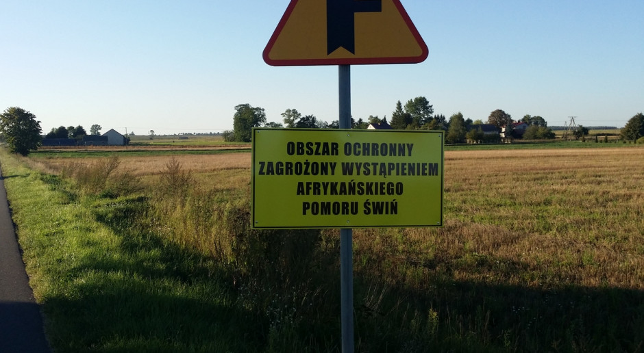 Fot. K. Hołownia Sejmik woj. lubelskiego domaga się skuteczniejszego zwalczania ASF