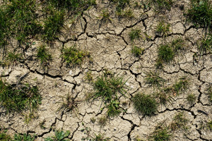 Włochy: Coraz większa susza, stan kryzysowy w Parmie i Piacenzy