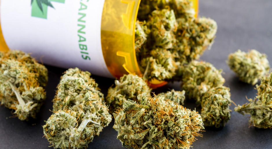 Apteka z gotowego suszu wytworzy lek; fot. Shutterstock Dlaczego marihuana lecznicza nie może być z Polski?