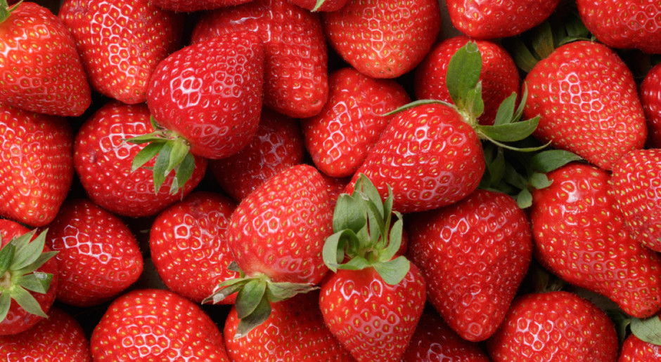 Fot. Shutterstock Polskie truskawki najlepsze dla polskich kibiców