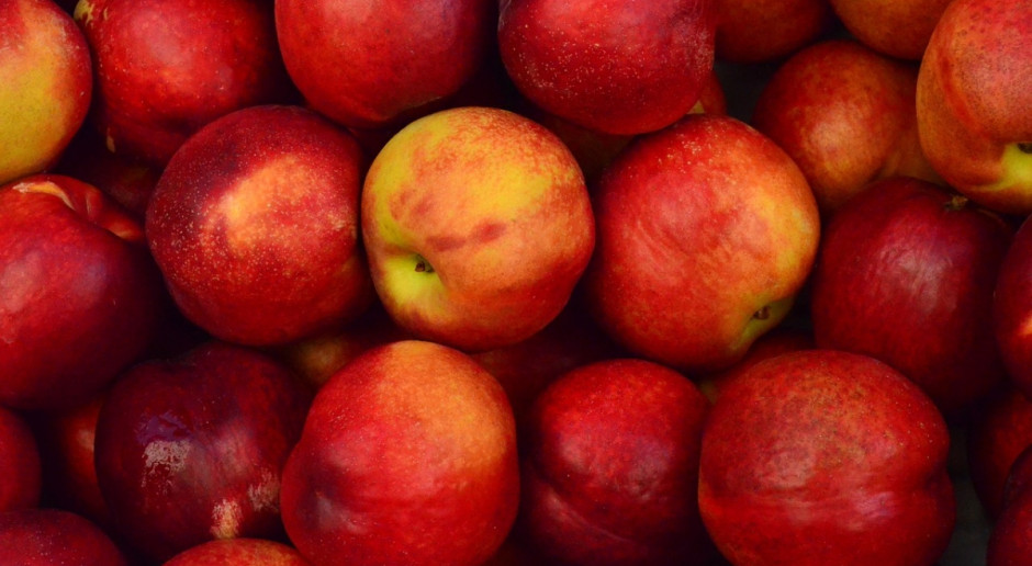 W Polsce pomoc dla producentów owoców dotyczy m.in. 75 565 ton jabłek i gruszek; Fot. pixabay.com 70 mln euro więcej na wspieranie europejskich producentów owoców