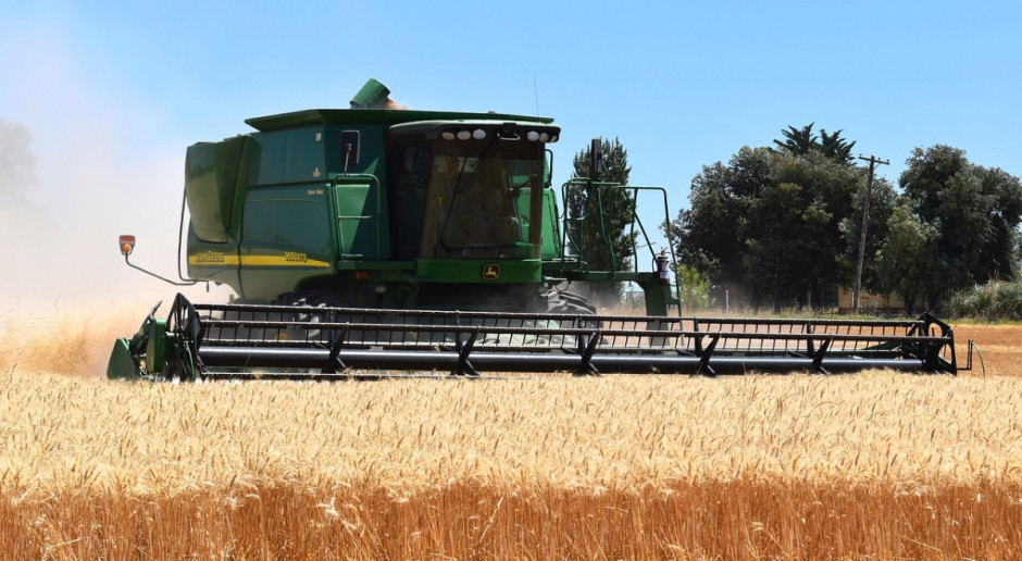 Według ostatnich szacunków amerykańskiego ministerstwa rolnictwa (USDA), farmerzy silnie ograniczyli zasiewy pszenic pod zbiory w 2017 r. (Fot.pixabay.com) USA: Farmerzy ograniczyli zasiewy pszenic pod zbiory w 2017 r.