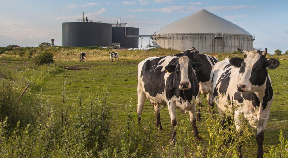 Fot. Shutterstock Jurgiel: Dzięki rolniczym spółdzielniom i klastrom energetycznym prąd może być tańszy